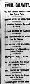 1874 Herald hoax headline