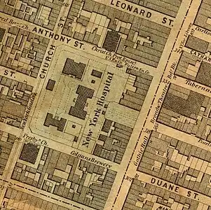 New York Hospital, 1852 map