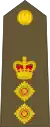 Colonel