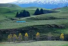 Image 52Rural landscape close to Mt Ruapehu (from Geography of New Zealand)