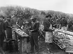 Māori people cutting up the blubber of beached pilot whales (Te Arai, New Zealand, 1911)
