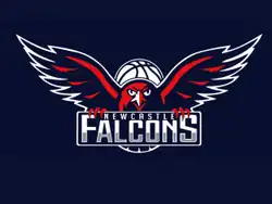 Newcastle Falcons logo