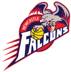 Newcastle Falcons logo