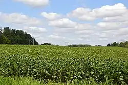 Fields north of Prospect