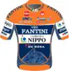 Nippo–Vini Fantini–Faizanè jersey