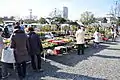 Flower market in front of the temple