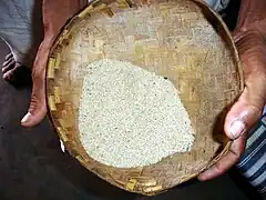 Traditional rice of Niyamgiri Hills, India