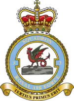 Squadron badge