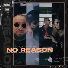 The words "No Reason" are shown in bold orange text, with the band's four members shown in frames behind it.