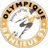 Olympique NoisyLeSec logo