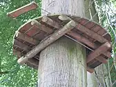 Noninvasive method of fixing a tree platform