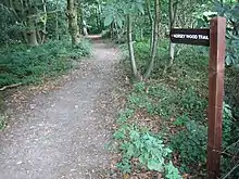 Norsey Wood