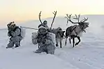 Soldiers of the 80th Arctic Motor Rifle Brigade wearing the Arctic pattern EMR