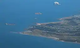 Bass Rock (top) off the North Berwick coast