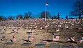 Flags fly over the graves of veterans at the North Burial Ground