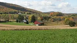 A farm in Morris Township
