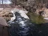 Outfall 001, where Lubbock discharges treated sewage into the North Fork