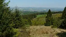 A vista northward from Northballo Hill showing coniferous tree groups with grassland between