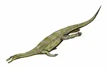 Nothosaurus mirabilis