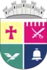 Coat of arms of Zviahel