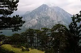 Volujak Mountain