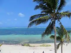 Nyali Beach on front of Voyager Hotel.