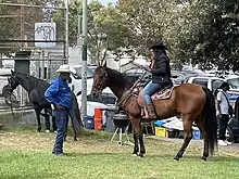 Two Black men in western wear, one on a bay horse. A black horse in the background. They are in a park.