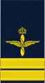 KaptenSwedish Air Force