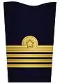 Sleeve insignia