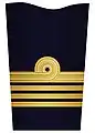 2. Sleeve insignia for a captain (?–2003)