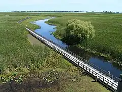 Boardwalk, August