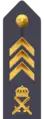 Army m/87