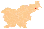 Location of the Municipality of Sveti Tomaž in Slovenia