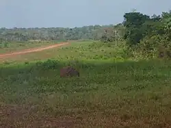 Obo mission Airfield at the start of the dry season.