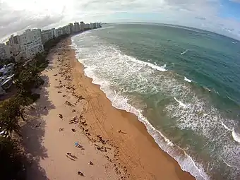 Aerial view of Ocean Park Beach.