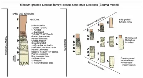 Medium-grained turbidite familyThe ideal Bouma facies model showing the complete sequence of divisions A–E, while F is a typical partial sequence found in nature. 