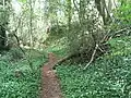 Offa's Dyke path
