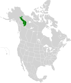 Ecoregion territory (in green)