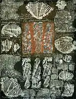 Collection Confrontation, monotype, 1985