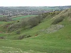 The old gypsum workings on Gotham Hill