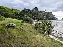 Ongare Point beach on Tauranga Harbour