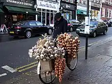 Cycle-mounted Breton onion salesmen are a familiar sight across southern England and Wales