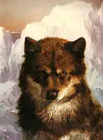 Church made a portrait of Oosisoak, his friend Isaac Israel Hayes' sled dog, in about two hours (c. 1861).
