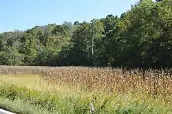 Fields on State Route 681 west of Alfred