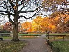 Oranjepark during fall