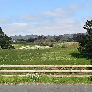 Rural view in Oratia looking towards the Waitākere Ranges.