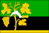 Flag of Oslavany