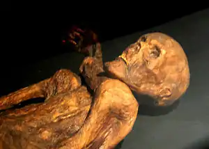 Ötzi, a natural mummy dating from the 4th millennium BC.