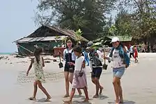 Mangrove planting