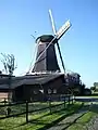 Windmill De Hoop